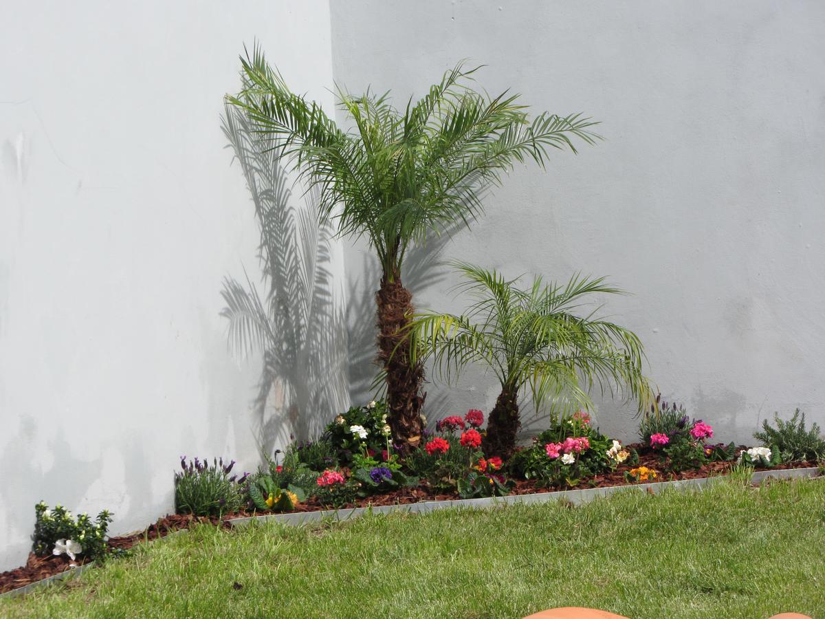 Oporto Comfort Charming Cedofeita Exterior foto